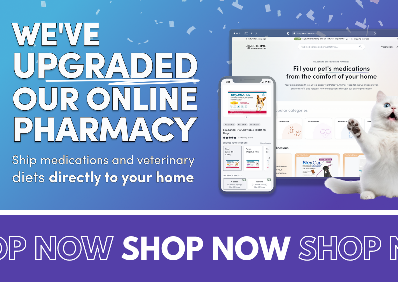 Carousel Slide 8: We've Upgraded our Online Pharmacy!